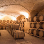 Tour cantina e degustazione vini