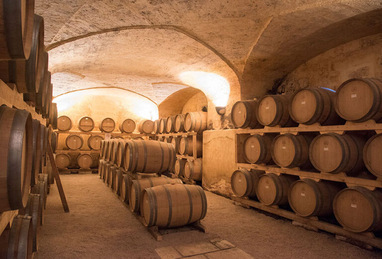cantina vini