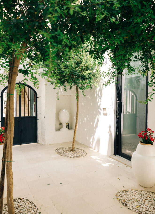 corte_melograni_da_interno_vert-scaled.jpg